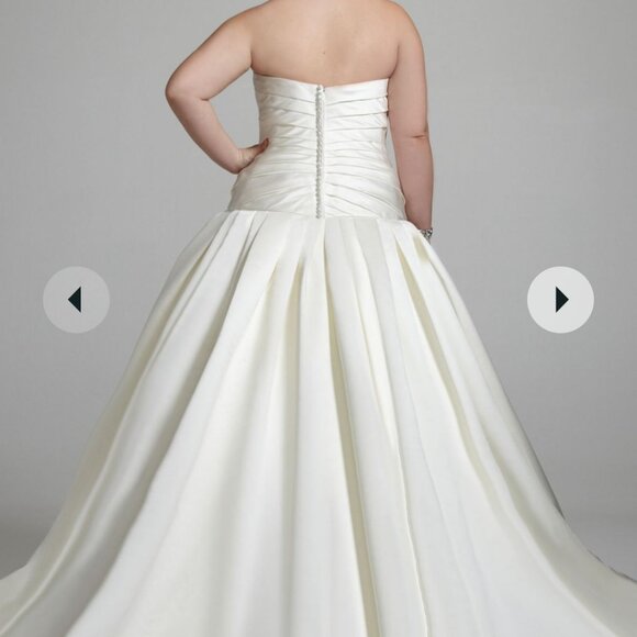 Plus Size Oleg Cassini Ballgown - Picture 3 of 4
